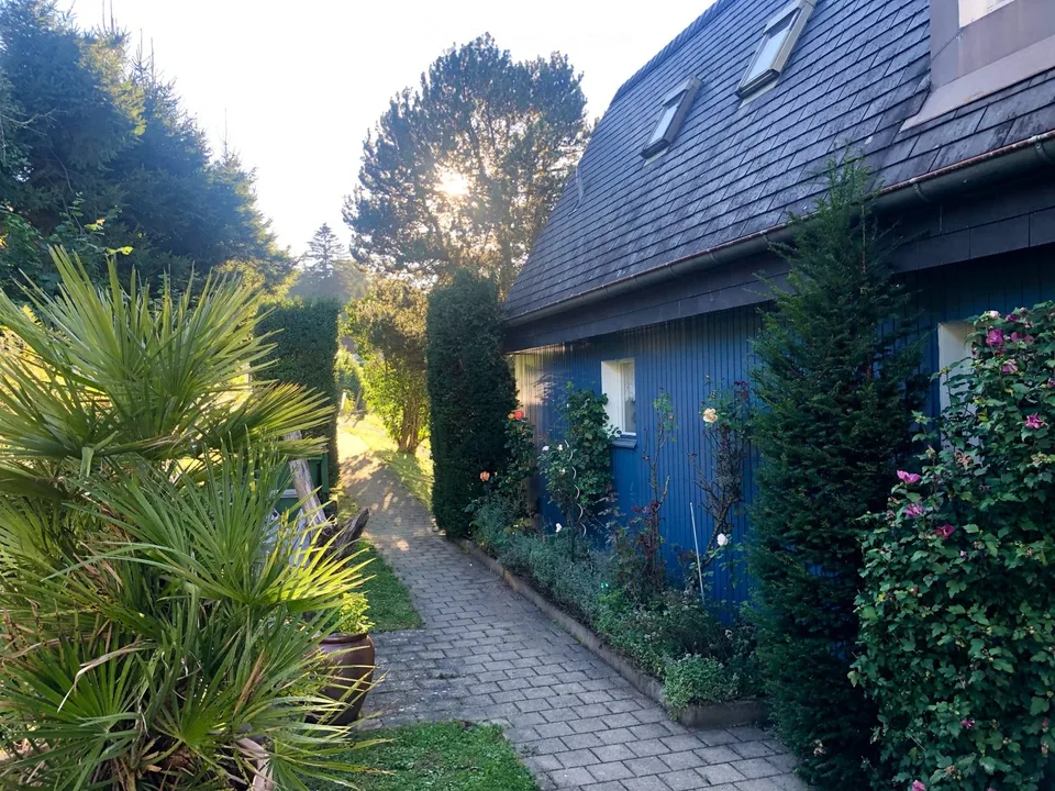 Quiet studio with evening sun and lake view