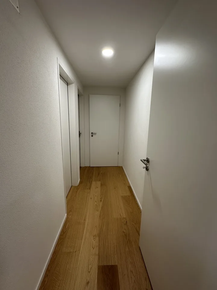 3.5 Room Apartment on the Ground Floor
