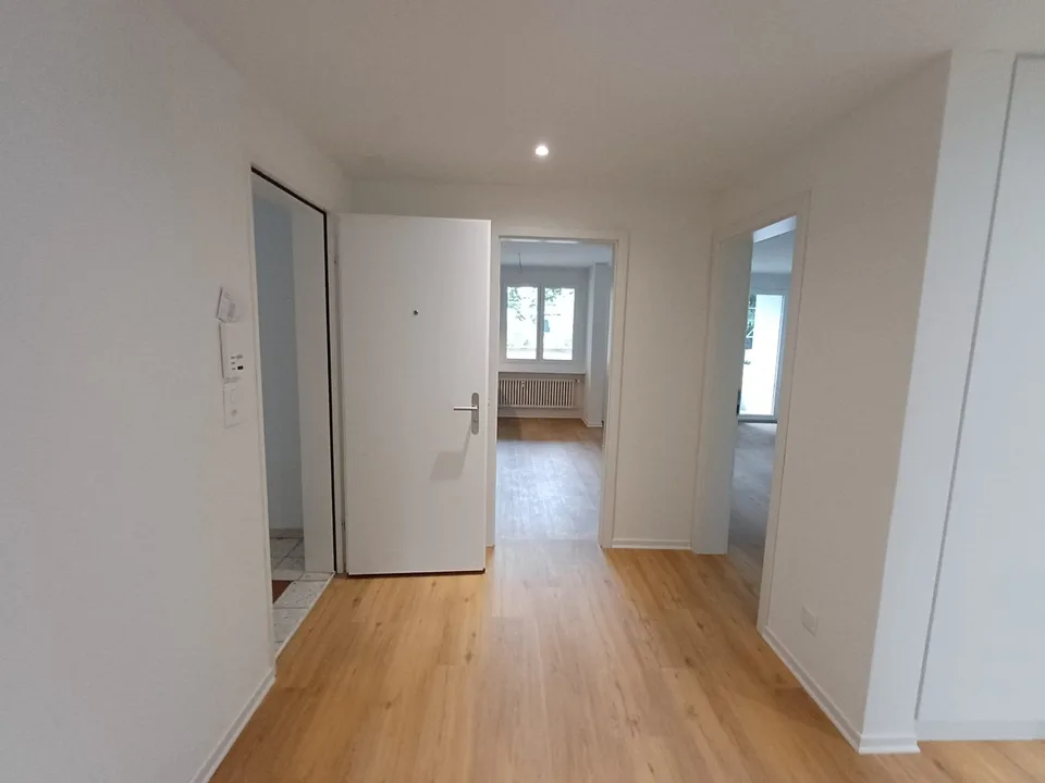 Charmant appartement 3 pièces dans un quartier calme à Reinach