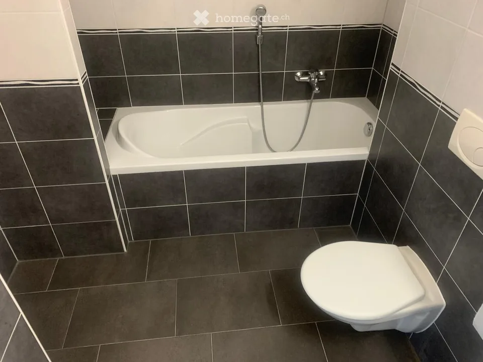 Zu vermieten - 4.5 Zimmer | Am Ufer von Vieze, Plantaud Monthey