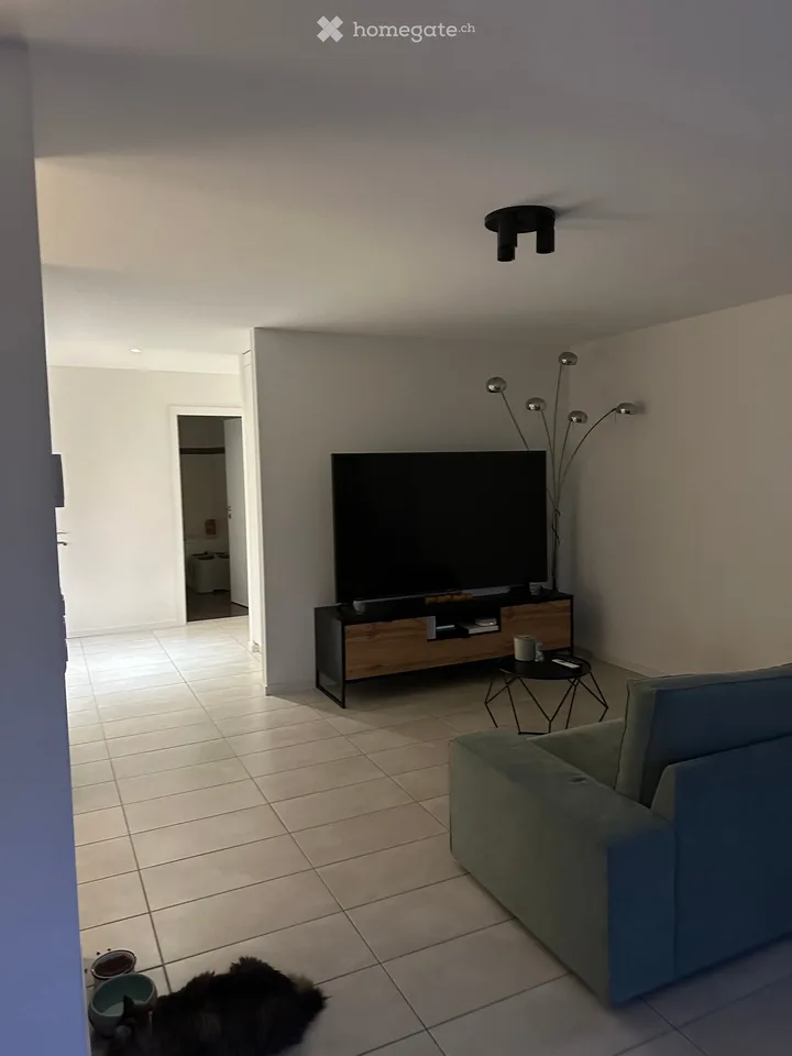 Apartment 4.5 rooms for rent from November 1, 2026