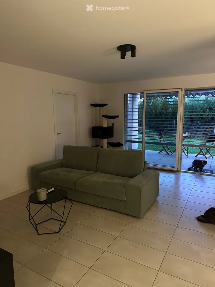 Apartment 4.5 rooms for rent from November 1, 2026