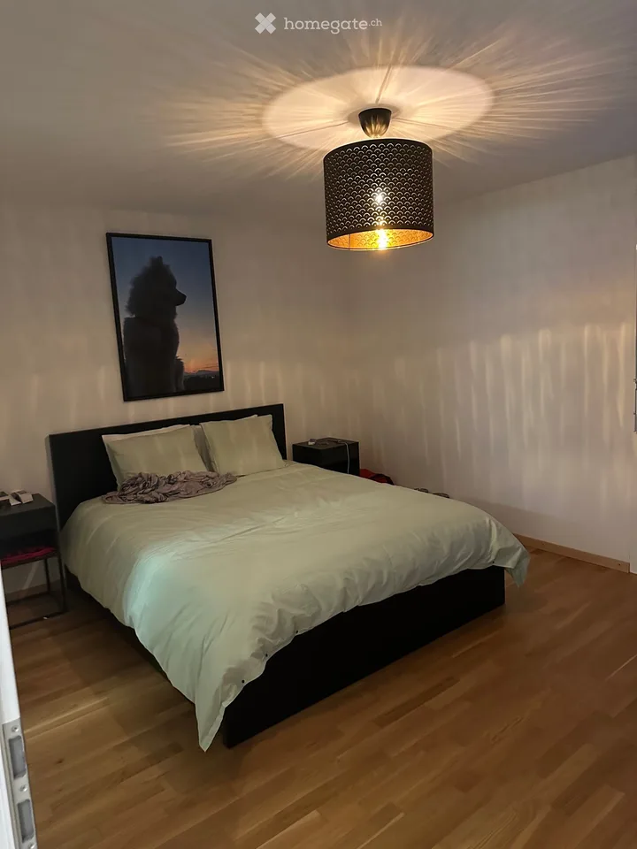 Apartment 4.5 rooms for rent from November 1, 2026