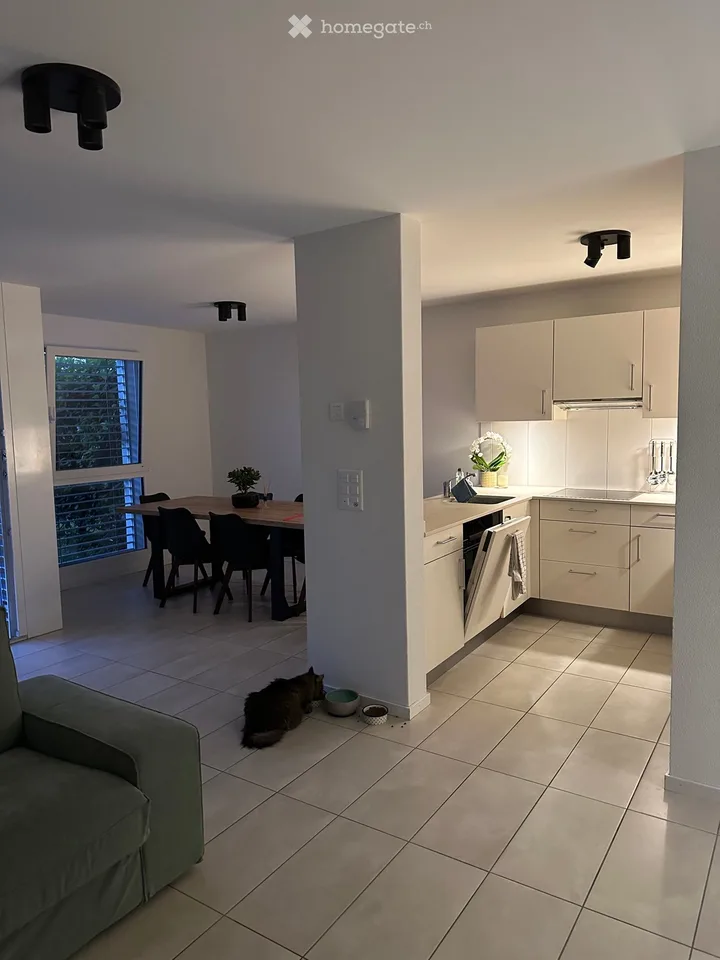Appartement 4,5 pièces à louer au 1er novembre 2026