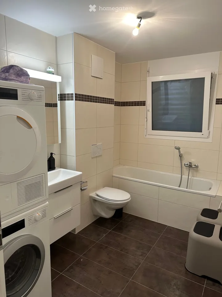 Apartment 4.5 rooms for rent from November 1, 2026