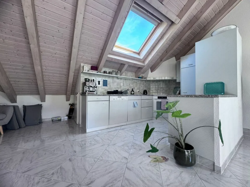 4.5-Dachwohnung, 2 Terrassen, ca. 32 m² Aussenfläche, schöner Aussicht und garagenbox