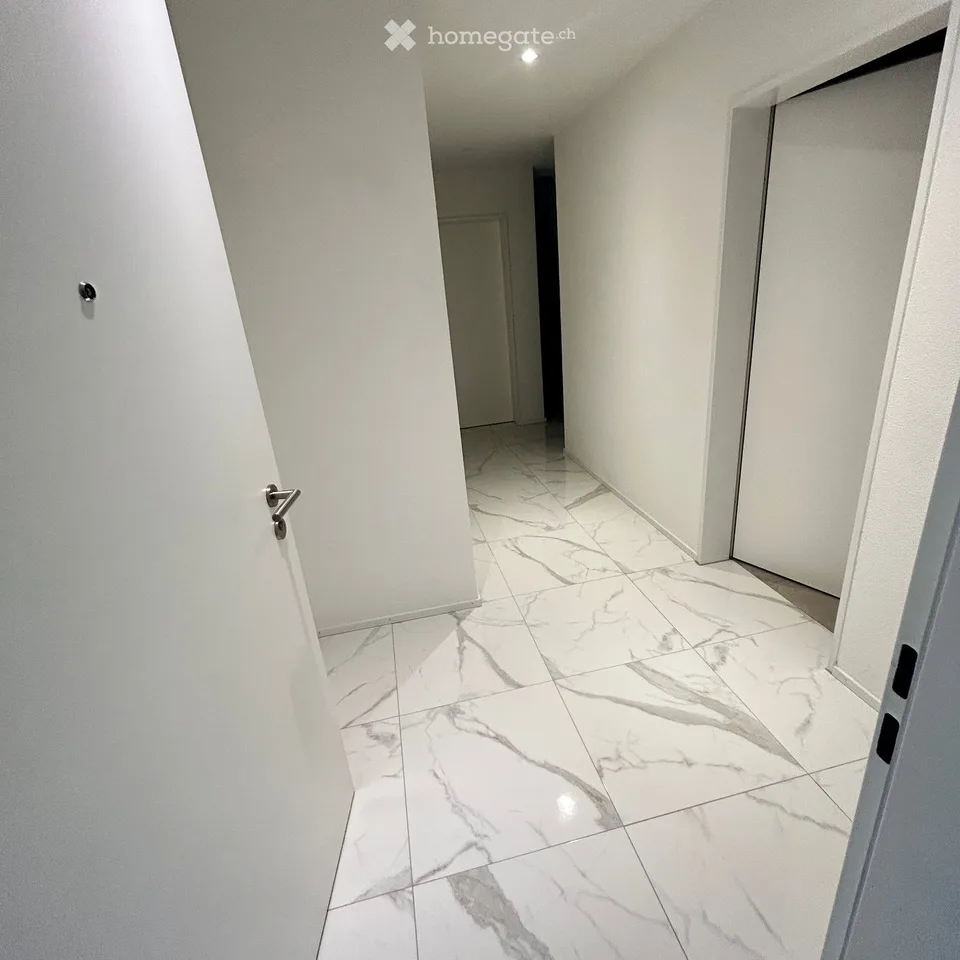 Appartement magnifique à Ammerswil AG