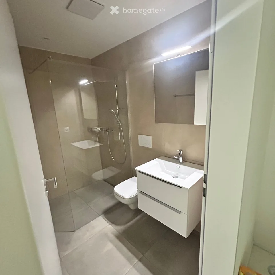 Appartement magnifique à Ammerswil AG