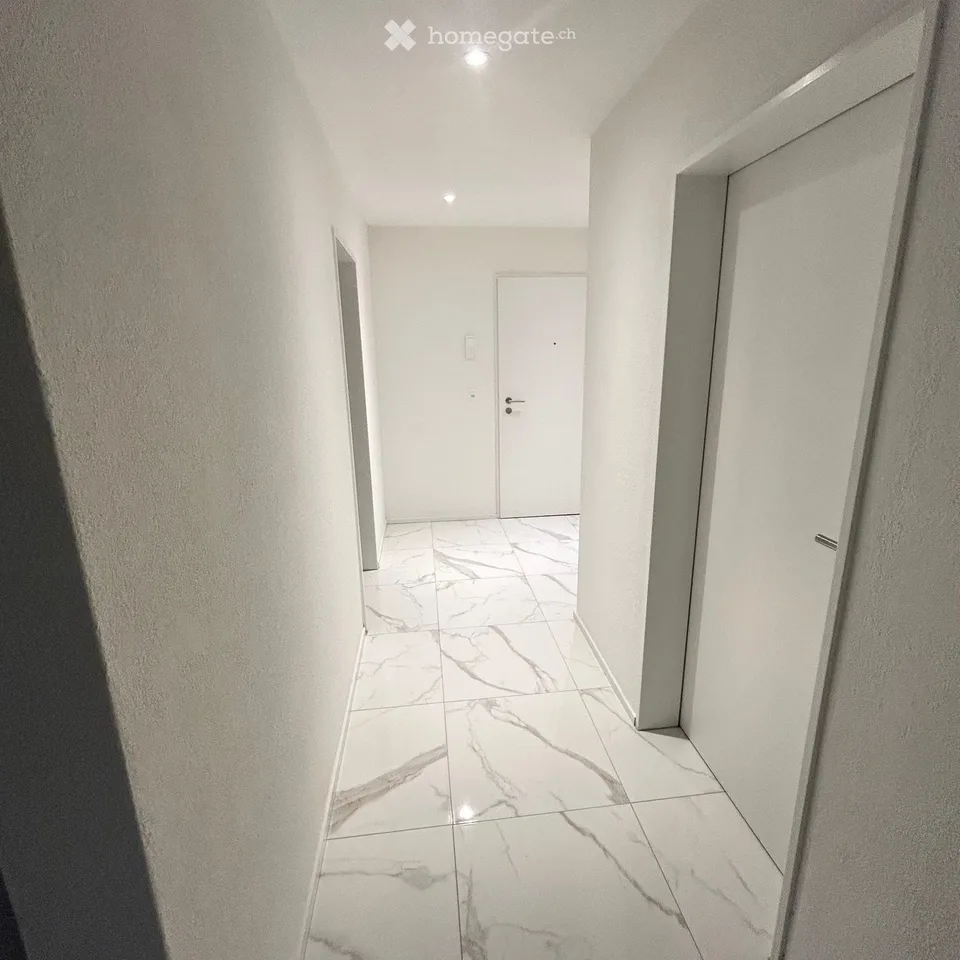 Appartement magnifique à Ammerswil AG