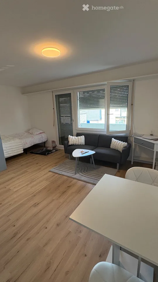 1-Zimmer-Wohnung