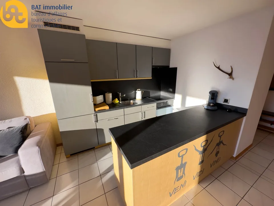 Appartement touristique à Nax - Les Jausses 3 "La Maya" n° 185