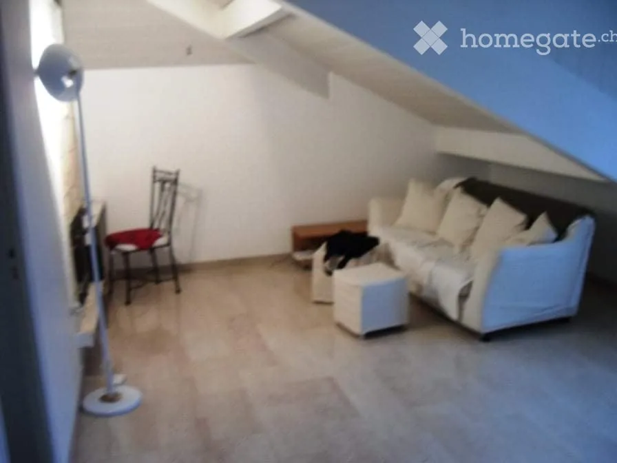 Owner rents 3-room apartment, at Anières customs