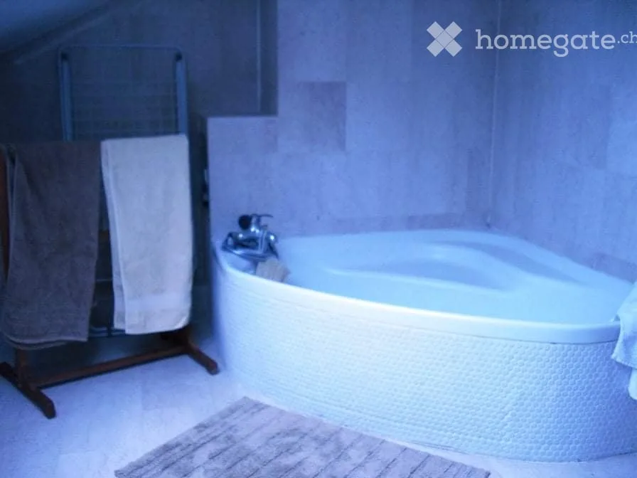 Owner rents 3-room apartment, at Anières customs