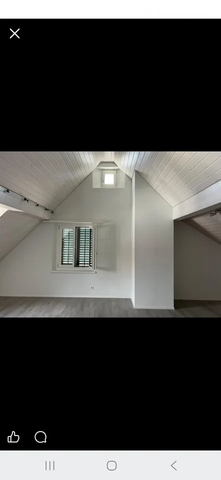 Grosszügige Dachwohnung