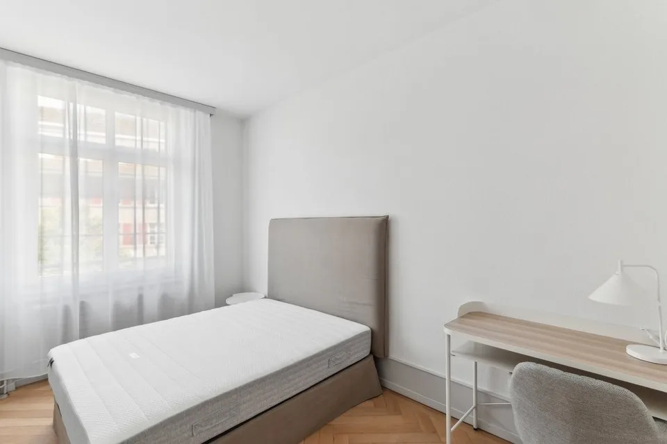 Magnificent furnished and renovated 113 m2 city center apartment – foto 7 di 12