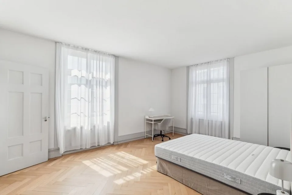 Magnificent furnished and renovated 113 m2 city center apartment – foto 6 di 12