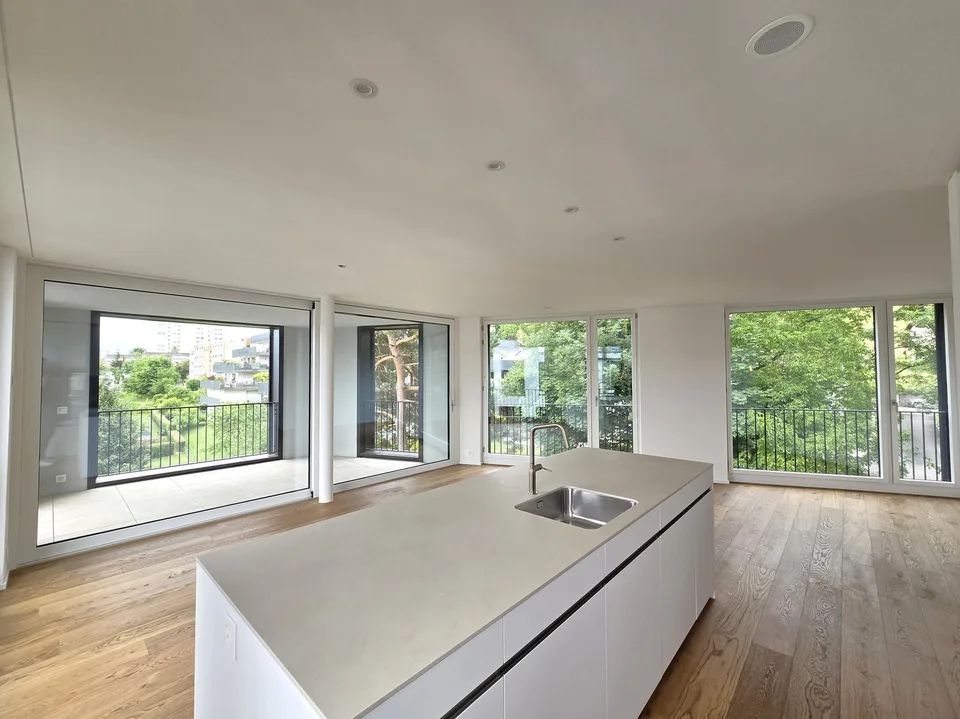 «Erstbezug» Moderne 4.5 Zimmer Neubauwohnungen, nur 20 Minuten von Zürich