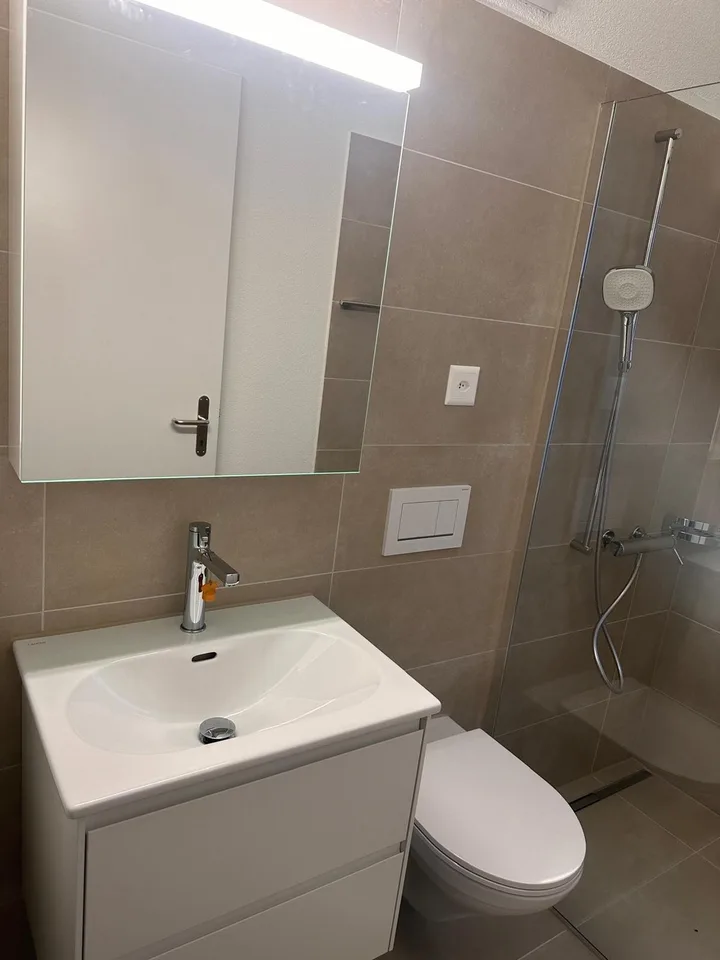 Schöne neue 4.5-Zimmer-Dachwohnungen zu vermieten – Foto 8 von 11