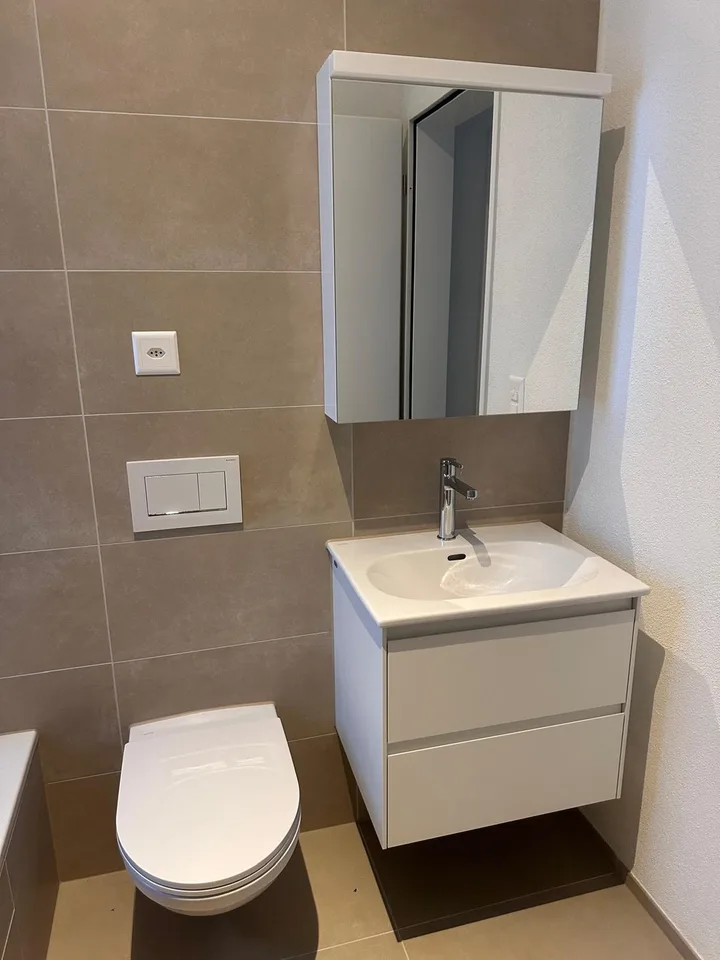 Schöne neue 4.5-Zimmer-Dachwohnungen zu vermieten – Foto 7 von 11