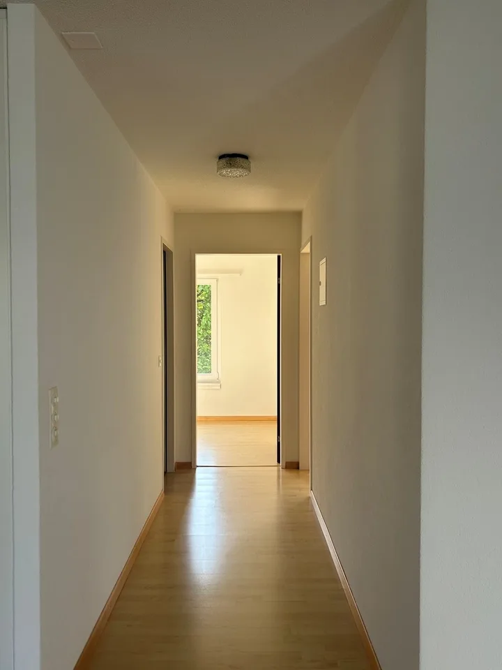 Appartamento di 3 camere luminoso nel cuore di Solothurn
