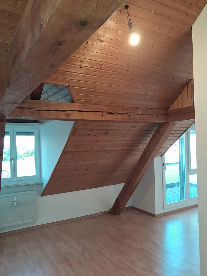 Appartamento mansardato di 2 camere ristrutturato di fronte al M-Park