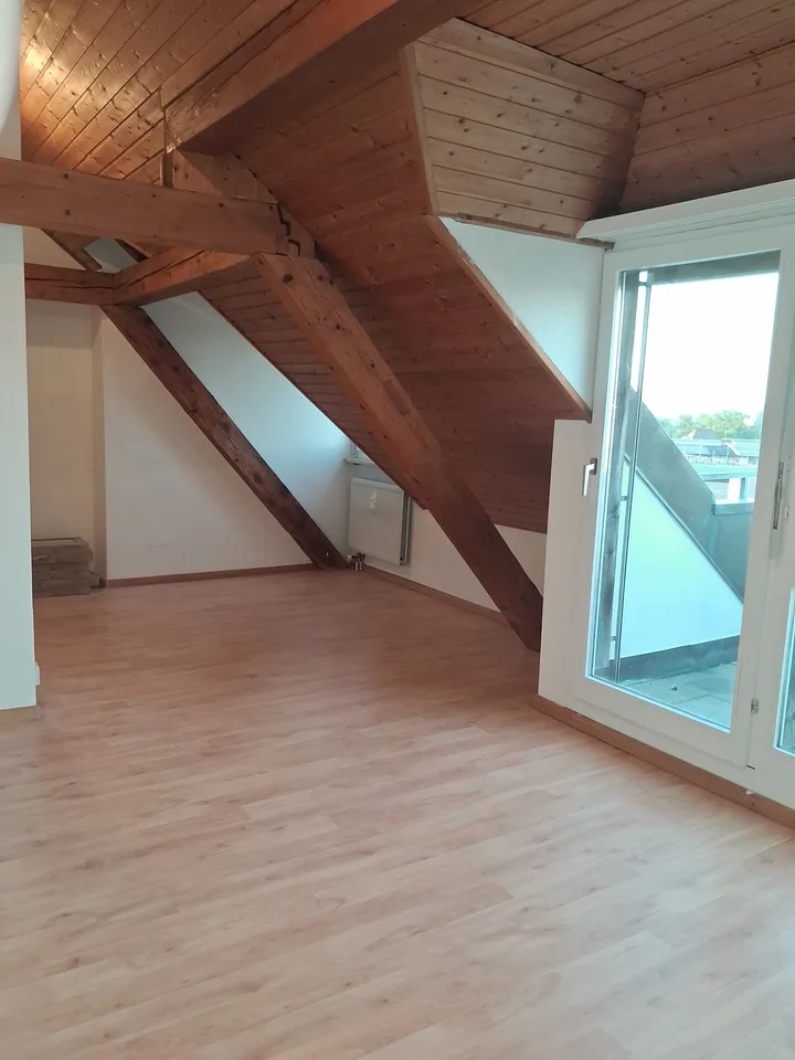 Appartamento mansardato di 2 camere ristrutturato di fronte al M-Park