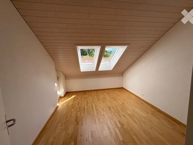 Large modern and air-conditioned 3.5 room attic apartment