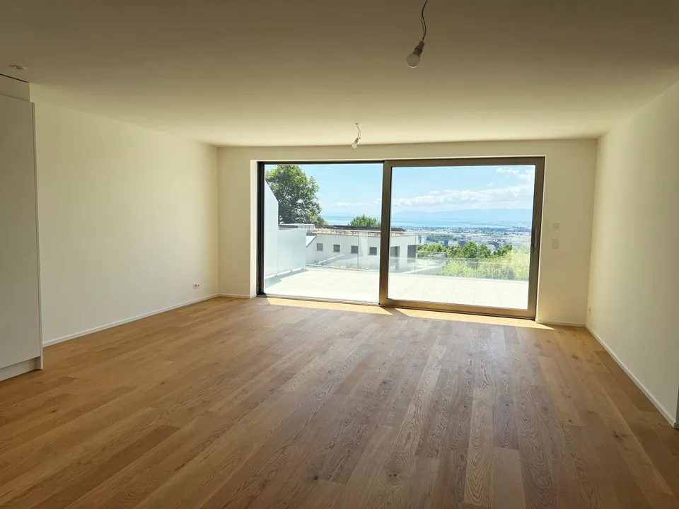 2,5 Zimmer-Penthouse mit großer Terrasse und Seeblick