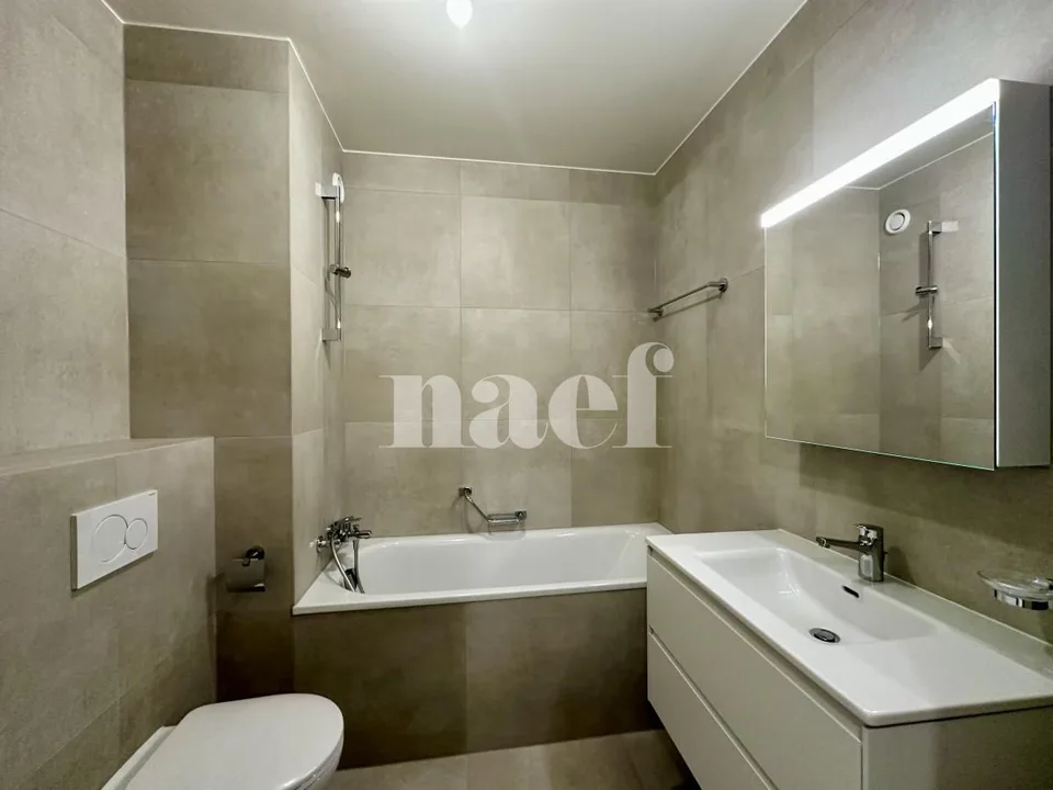 CHAMPEL - Entièrement rénové - beau 4 pièces au 4ème étage d'un immeuble résidentiel – photo 20 sur 25