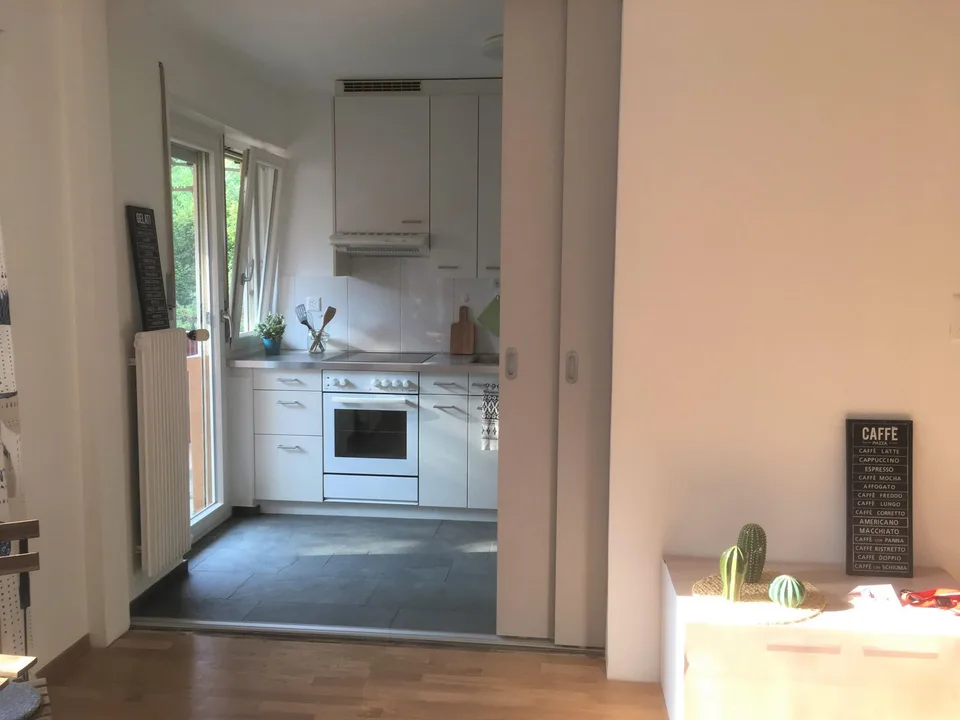 Appartamento di 2 camere luminoso con balcone tranquillo e soleggiato affacciato sul verde – foto 10 di 11