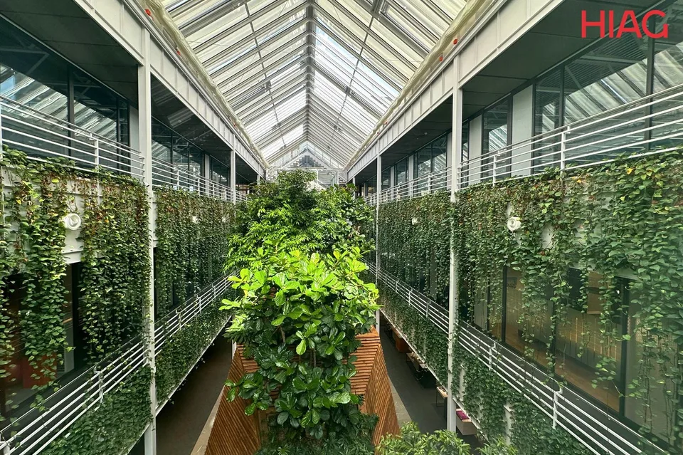 In affitto, superfici semi-industriali a Meyrin all'interno del campus The Hive.