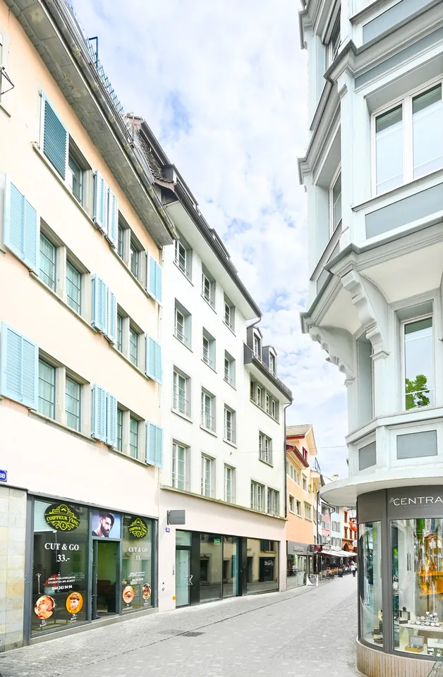 DUPLEX-OFFICE MIT ROOFTOP BEIM CENTRAL