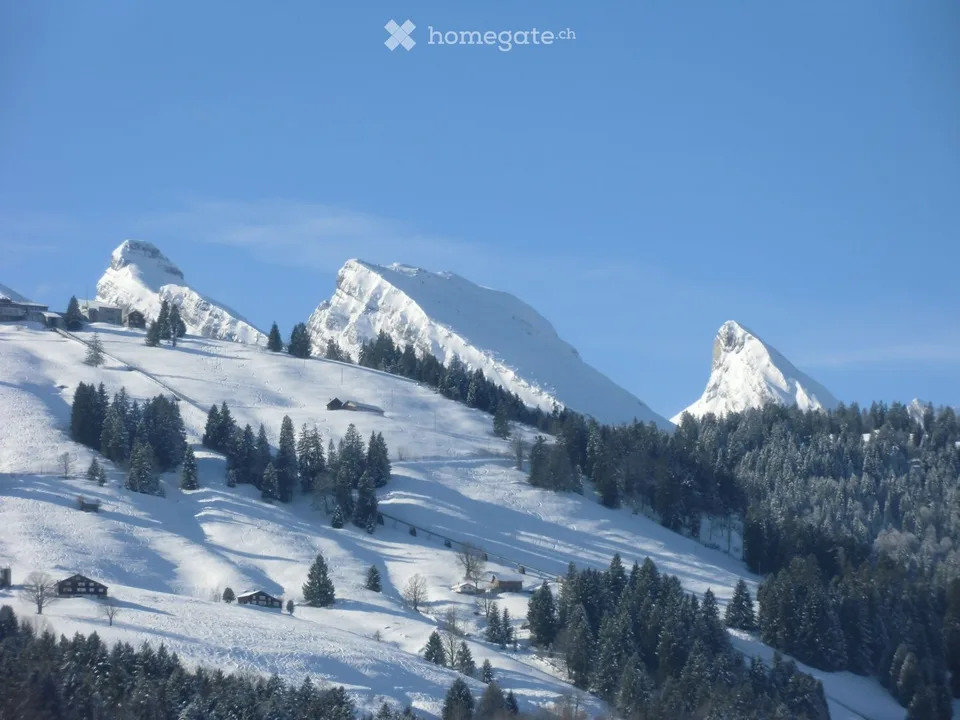 Idyllischer Toggenburger Wohnsitz