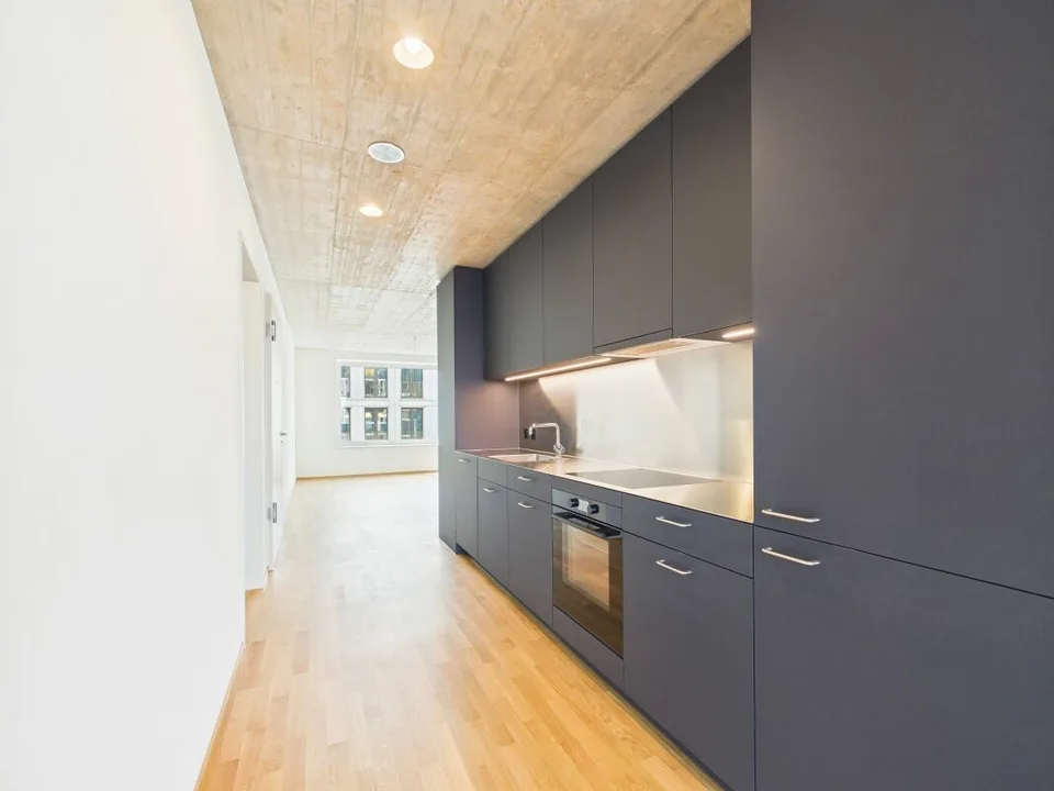 Premier occupant dans un immeuble moderne - habitation de haute qualité au cœur de Bâle
