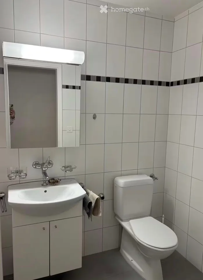 Charmantes 2.5-Zimmer-Wohnung zur Miete