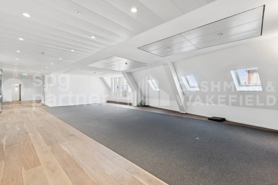 Bureaux premium avec terrasse et vue sur le lac - Passage des Lions 6