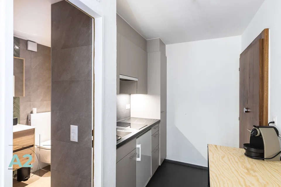 Studio renoviert, zur Jahresmiete verfügbar
