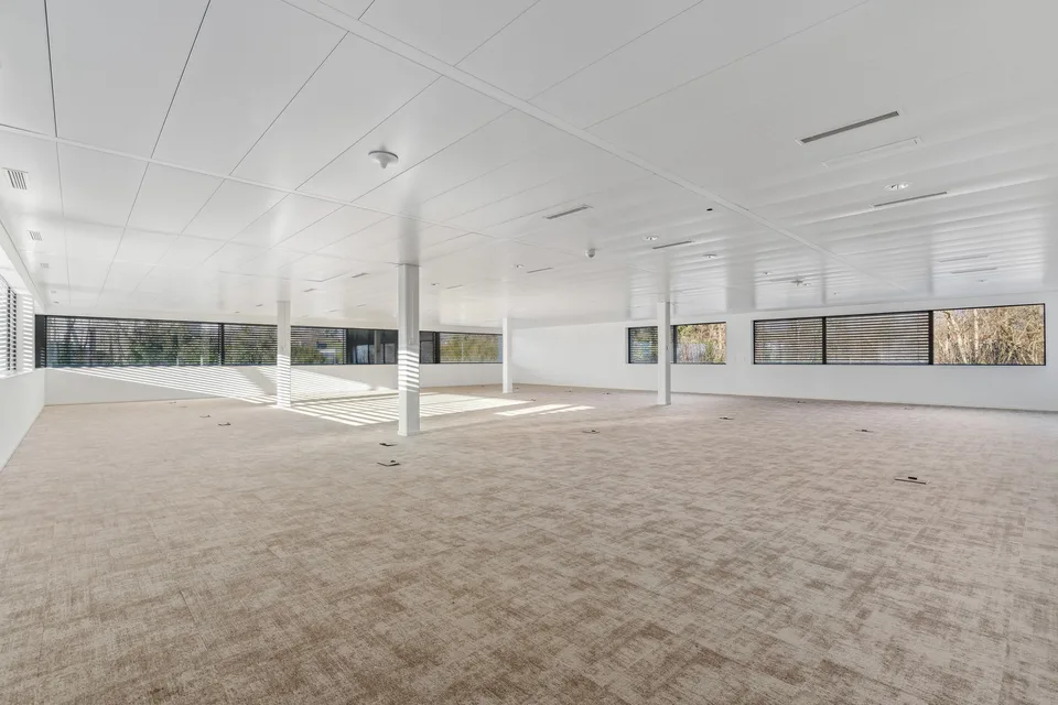 Büro von 181 m² zur Miete in Terre Bonne