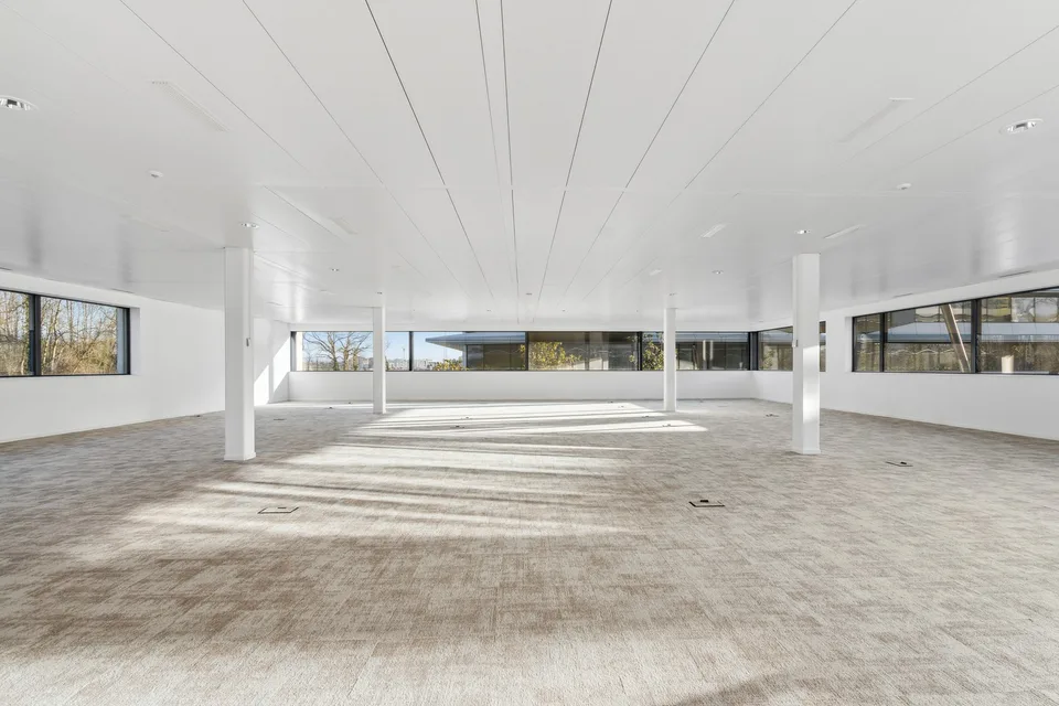 Büro von 181 m² zur Miete in Terre Bonne