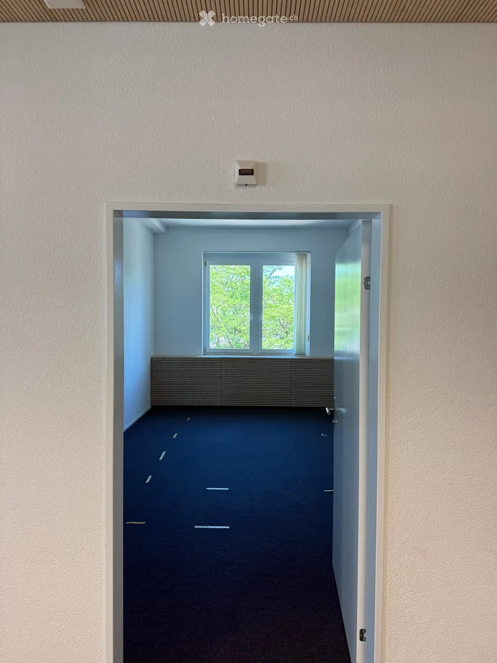 Cercasi subaffittuario: Ufficio luminoso di 6,5 locali in posizione centrale a Olten