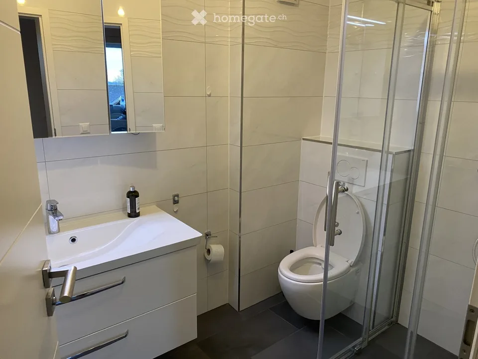 Wohnung in Rickenbach ZH