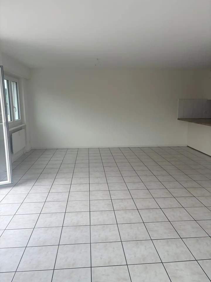 Appartamento completamente rinnovato e soleggiato di 4,5 locali con balcone