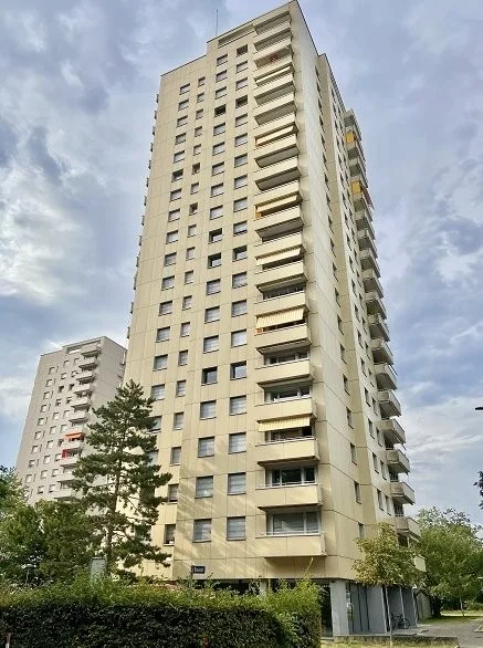 EINSTELLPLATZ IN BIRSFELDEN ZU VERMIETEN
