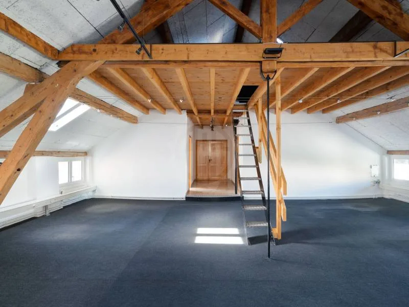 Bureaux spacieux - Carouge GE
