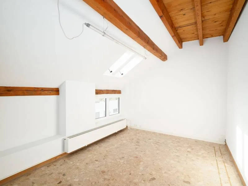 Bureaux spacieux - Carouge GE