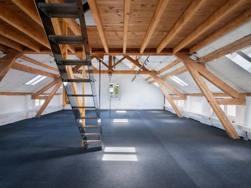 Bureaux spacieux - Carouge GE