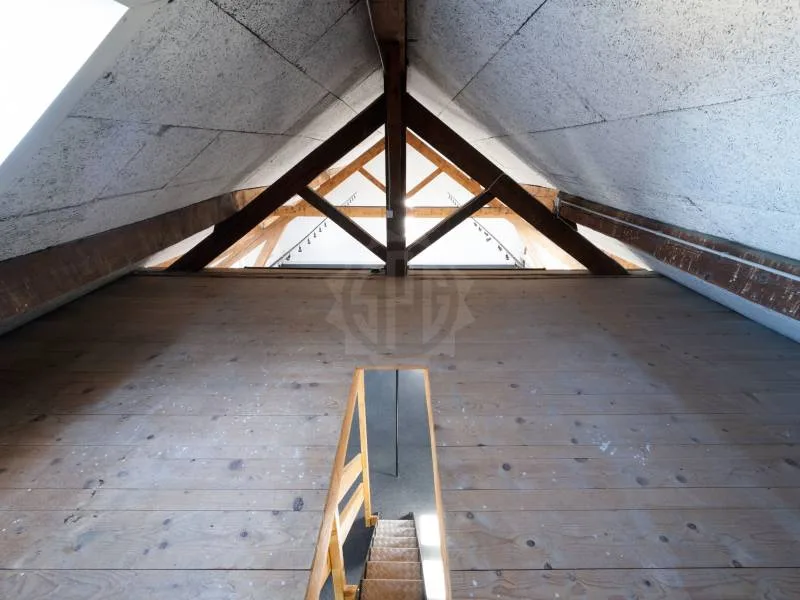 Bureaux spacieux - Carouge GE