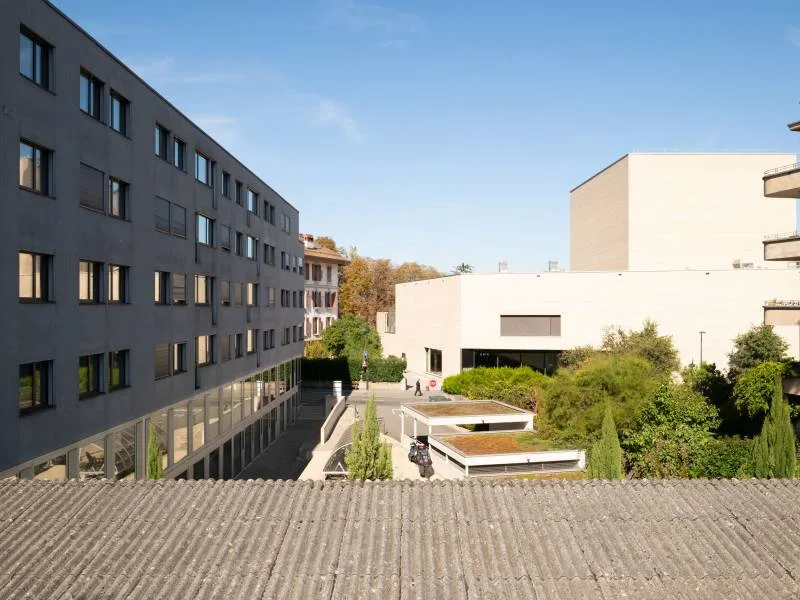 Uffici spaziosi - Carouge GE – foto 6 di 7