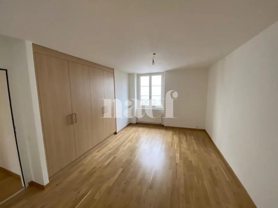 Prächtige, vollständig renovierte Wohnung