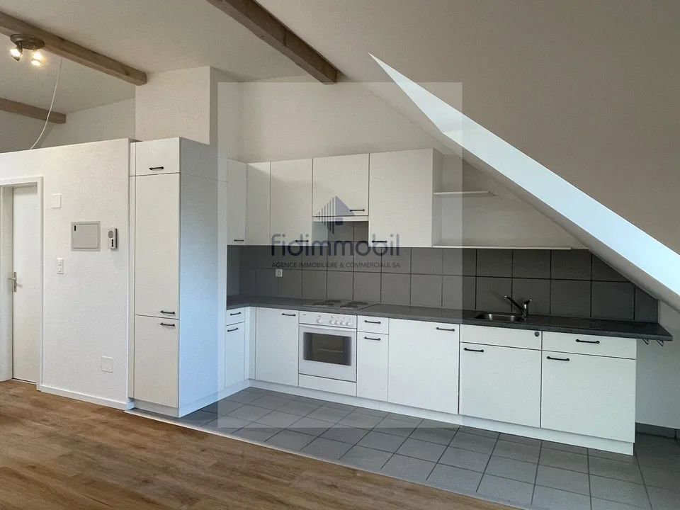 Bel appartement lumineux avec cuisine ouverte au coeur de Neuchâtel